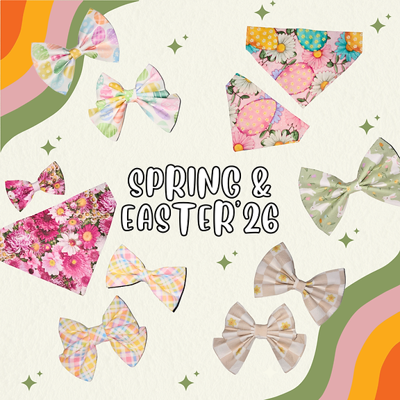 Muzzle Friendly Collapsible bowl (2560 x 2560 px) (6).png