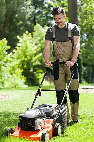 istockphoto-503400211-612x612.jpg