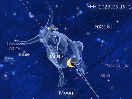 Regenerate Through Self Nurture - New Moon May 19 2023