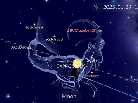 A Wise Old Owl - New Moon - January 29 2025