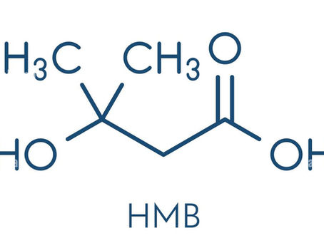 All About HMB