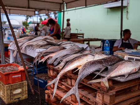 Além de tradição, pescado é opção econômica para a Semana Santa