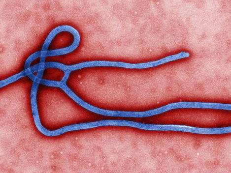 Novo surto de ebola atinge a República Democrática do Congo