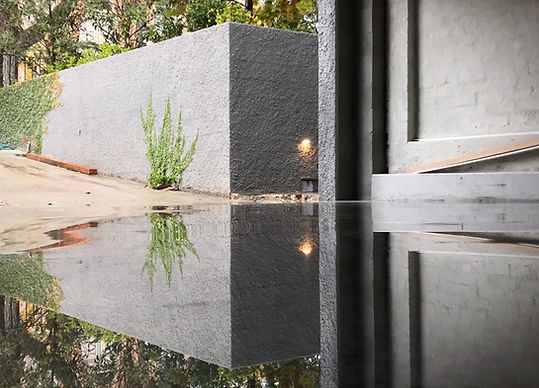 black high gloss polished concrete