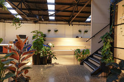 Hiperfloor polished concrete