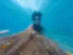 Snorkling at the beautiful Sea Dance Resort private beach