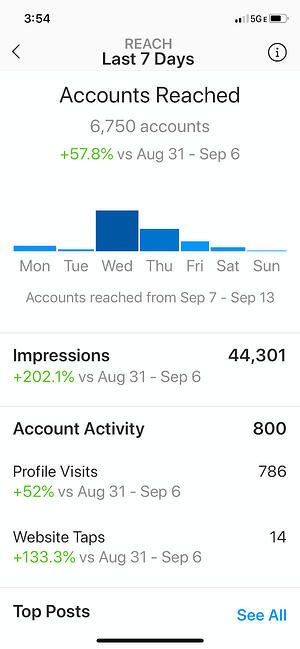 Accounts Reached Showed On Instagram Insights