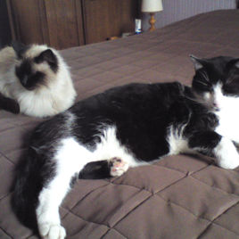 DSC00032.JPG