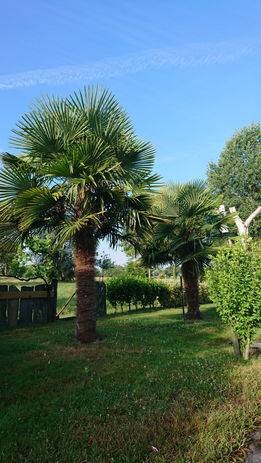 DSC_3394.JPG