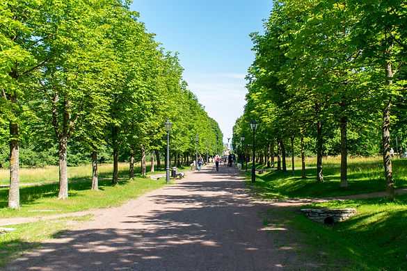 Kadrioru park.jpg