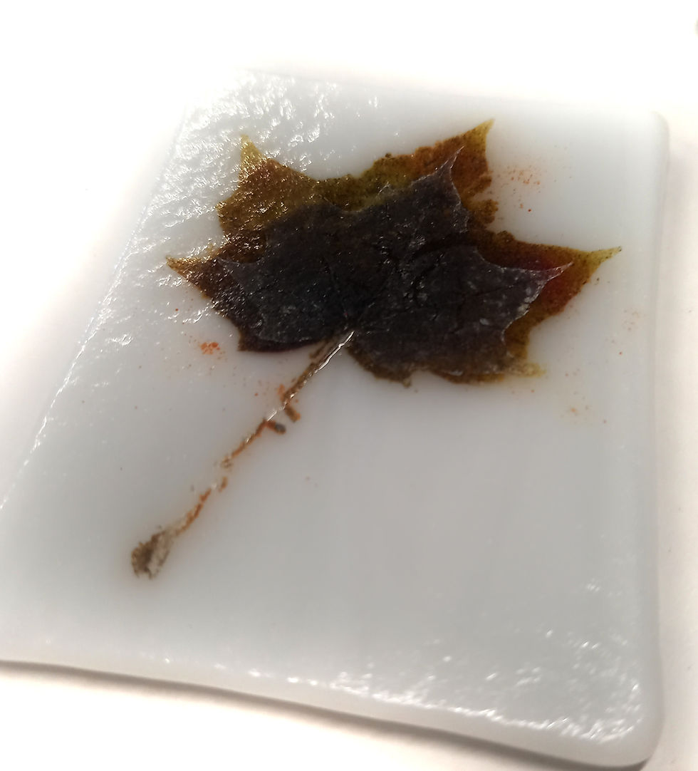 Thumbnail: GLASS LEAVES. One day fusing Taster