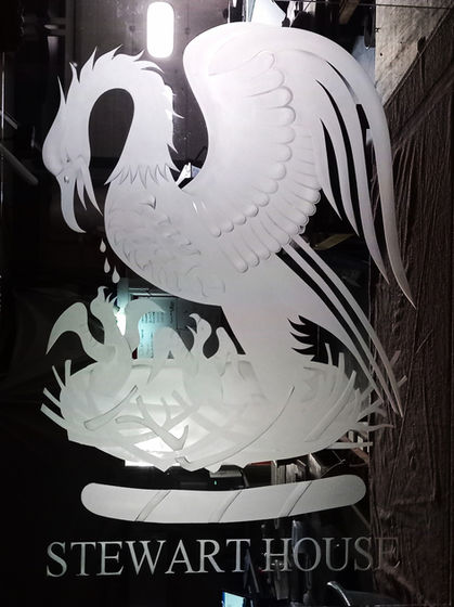 Etched Pelican.jpg