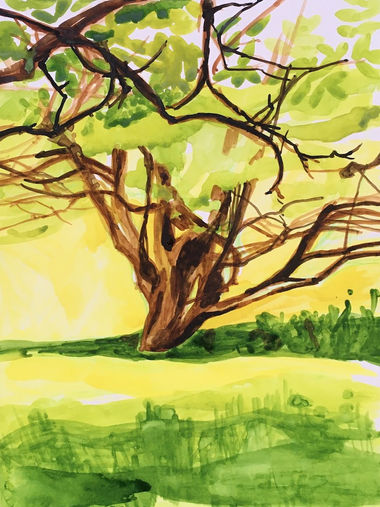 Schilderijen heuvelland