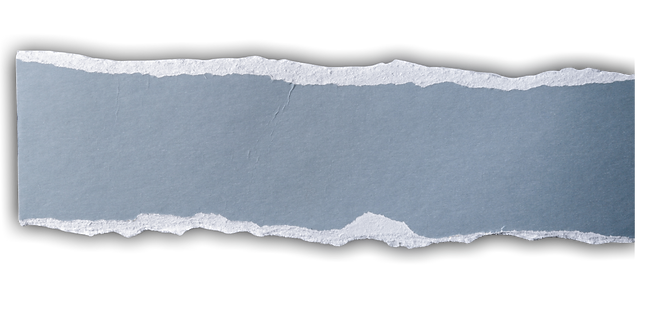 Untitled%20design%20(11)_edited.png