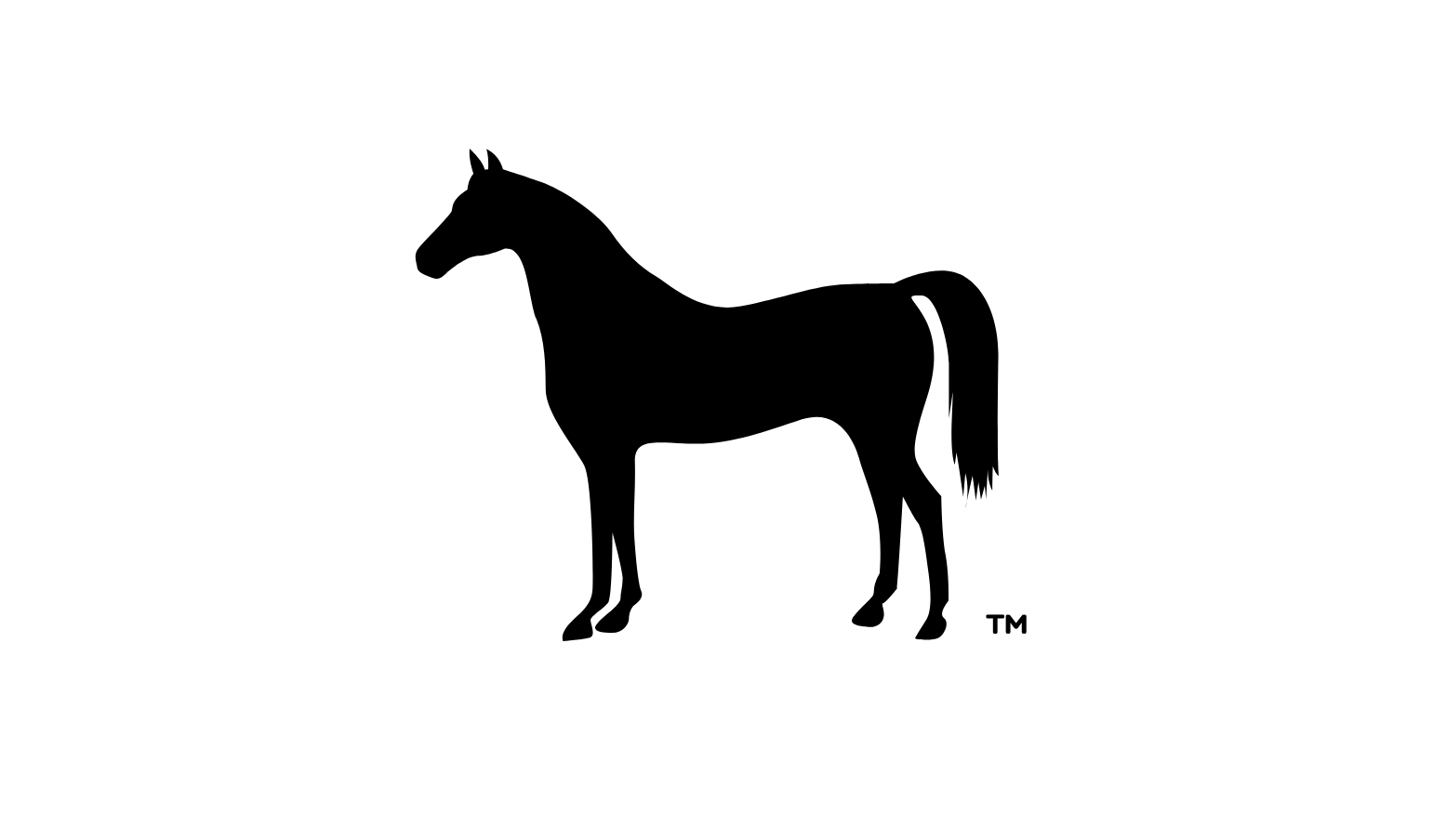 Lead Horse LLC Where Champions Compete