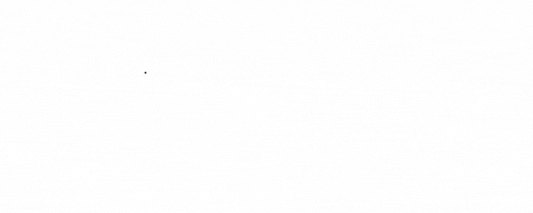 S4W_TY.gif