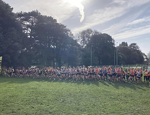 county cross country 4.jpg