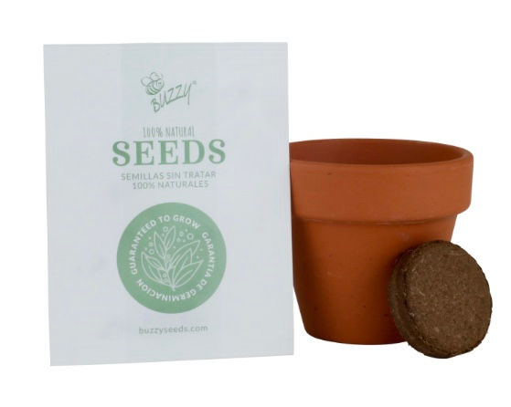 Thumbnail: Kids Mini Grow Pot - Sunflower