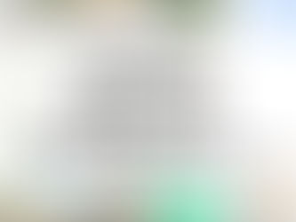 【開催報告】畑から食卓へ！食農がっこうの収穫＆調理体験レポート