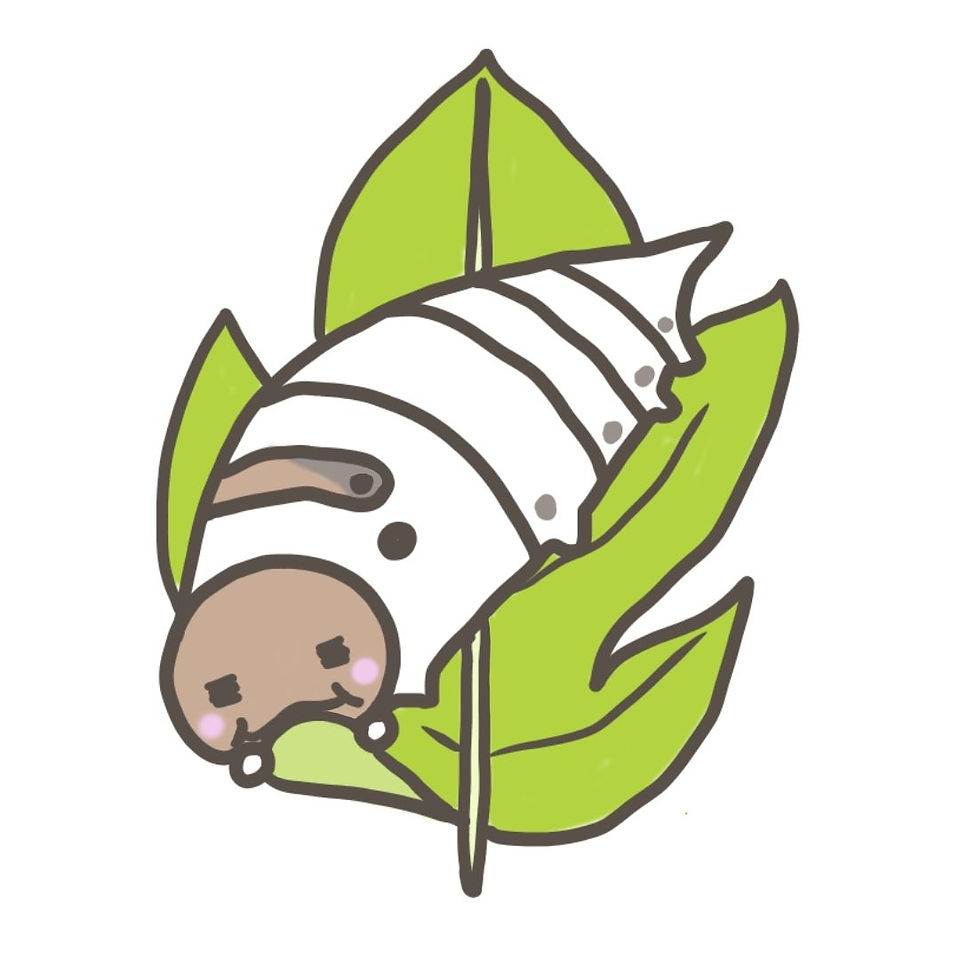 桑の葉とおかいこさん
