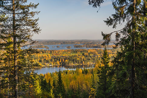 Tahko_Mäkiaution Rotkon maisema.jpg