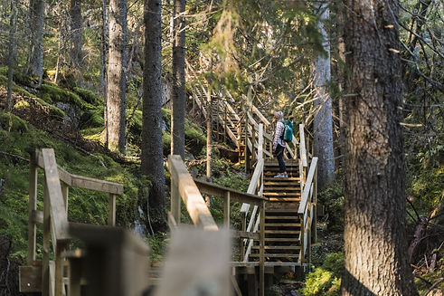 Tahko_portaat kohti Mäkiaution rotkoa.jpg