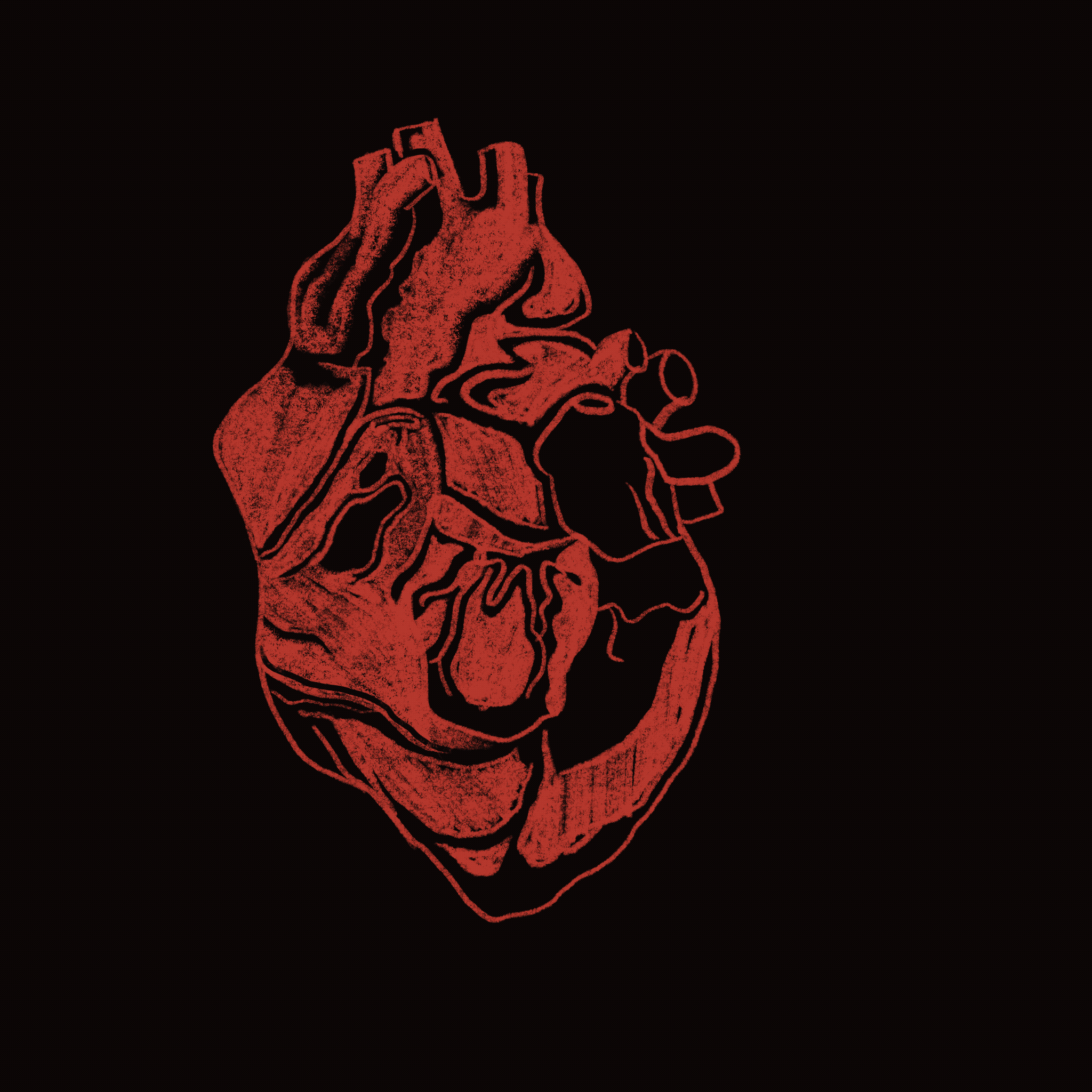 Untitled_Artwork (6).gif