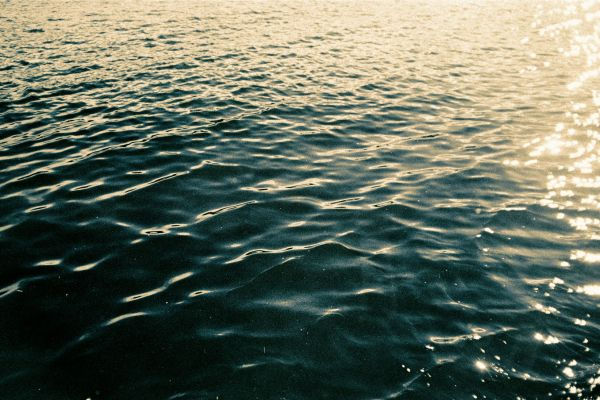 How to Heal a Dysregulated Nervous System: A Comprehensive Guide to Restoration