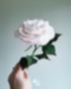 Rose en papier découpé