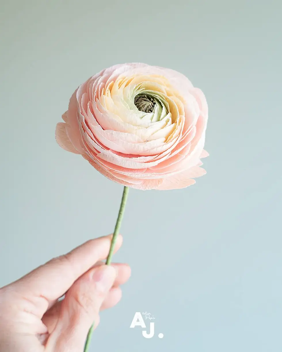 Renoncule rose pale en papier découpé @Audrey Jouve