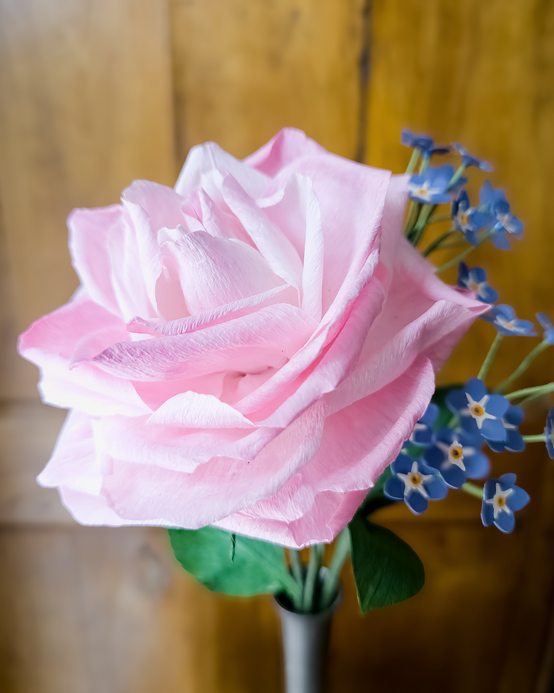 Zoom une rose. ©Audrey Jouve