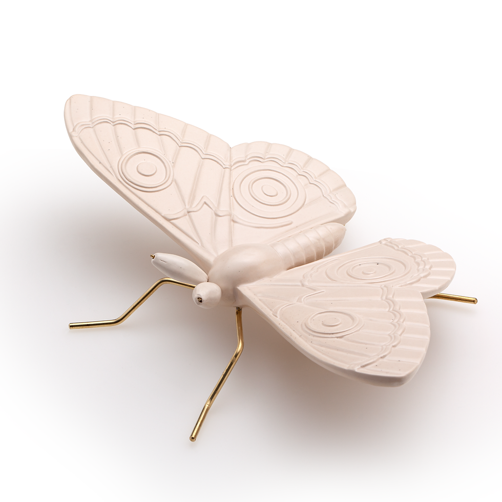 Miniatura: Borboleta pavão