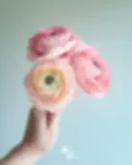 Renoncule rose pale en papier découpé @Audrey Jouve