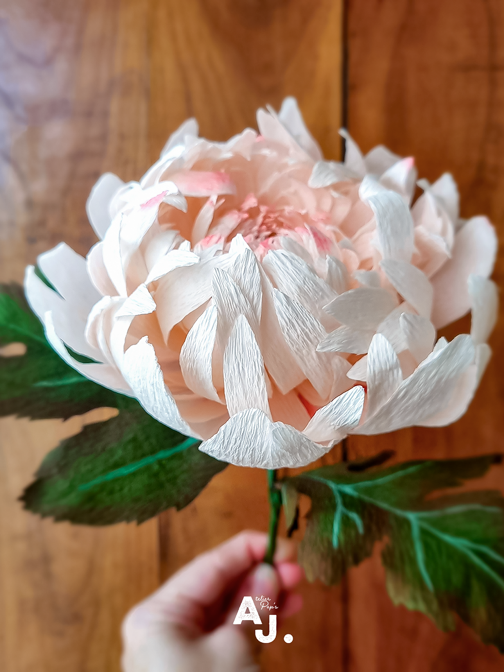 Chrysanthème en papier ©Audrey Jouve