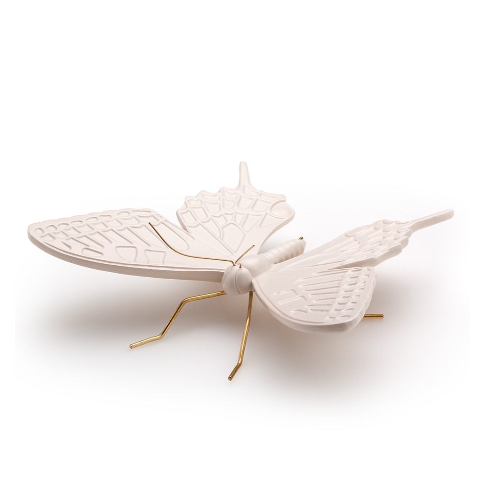 Miniatura: Borboleta andorinha