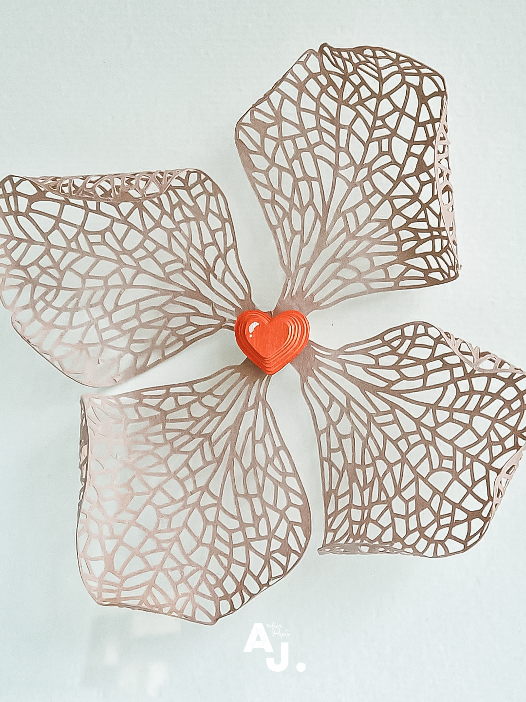 Amour en cage (Alkékenge) en papier découpé - Kirigami ©Audrey Jouve