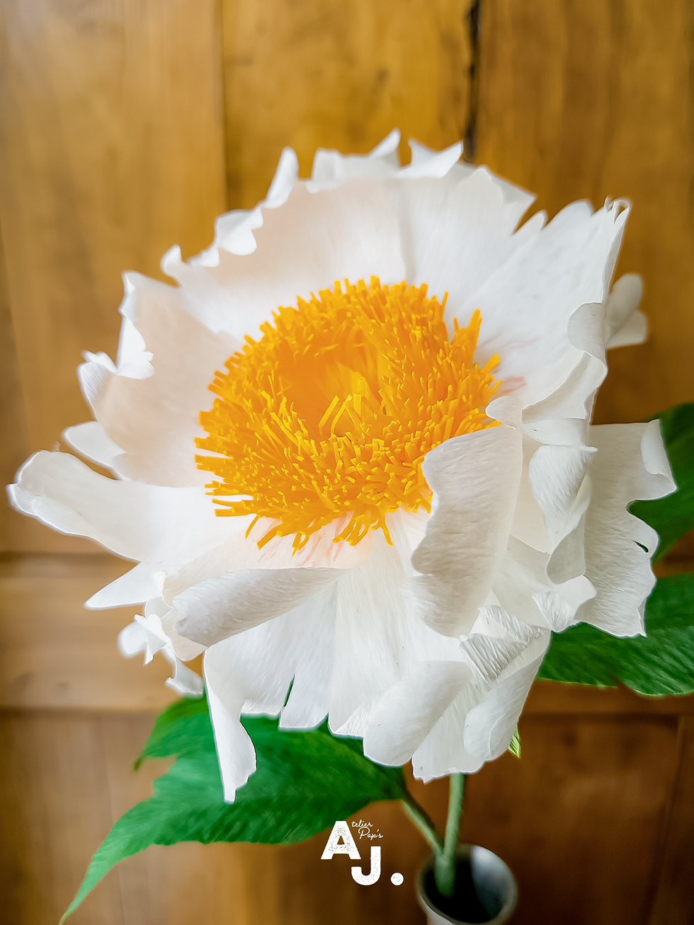 Pivoine Claire de Lune en papier ©Audrey Jouve