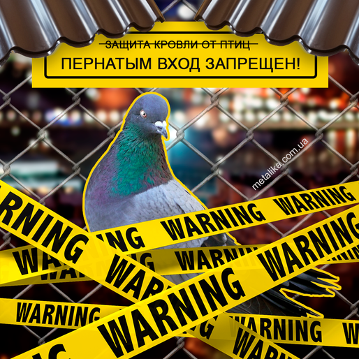 Пернатым вход воспрещен