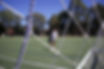 IMG_6039.jpeg