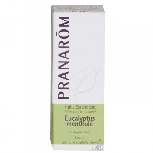 Eucalyptus mentholé main image 0