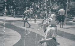 Toronto GTA Photography