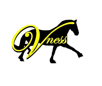 vness logo - Copy.webp