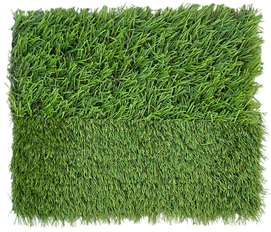 muestra de pasto sintético