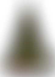 NEWSLETTER November 2025- Feb 2026