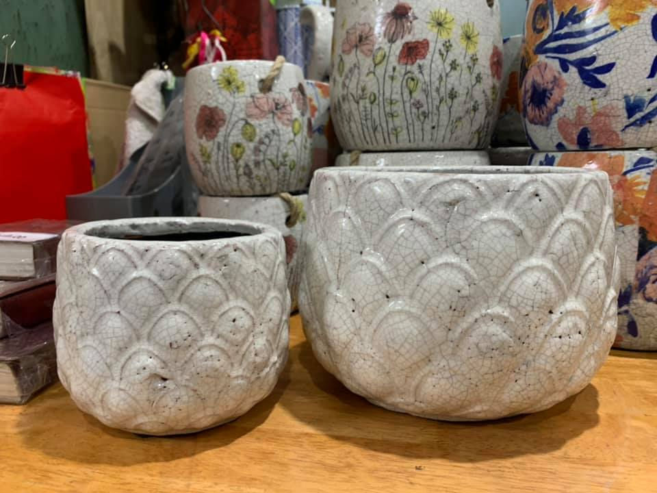 139341846_1895728807269620_8206184188592