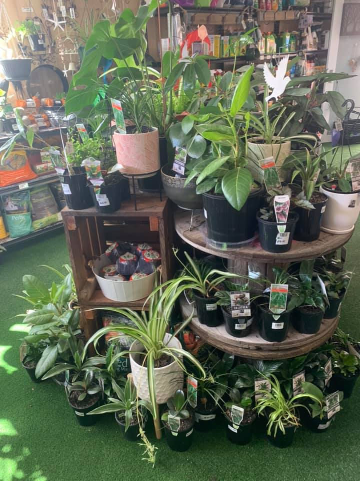 139508868_1894288280747006_2743884377044