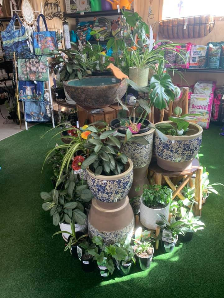 139525478_1894288577413643_6035654102373