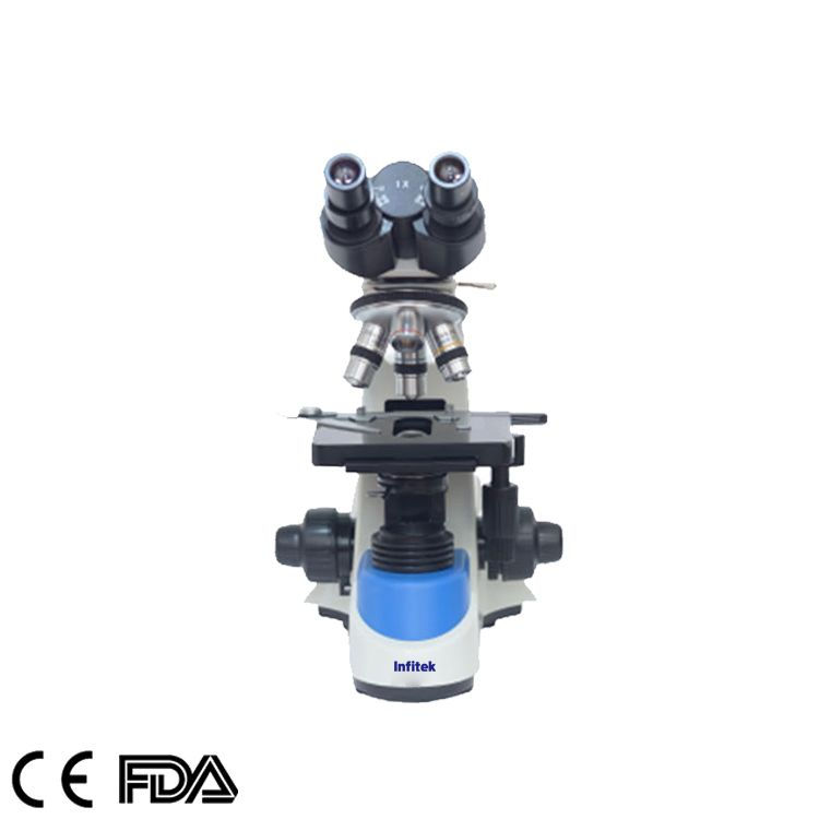Infitek Biological Microscope, MSC-B208(Siedentopf) Front View