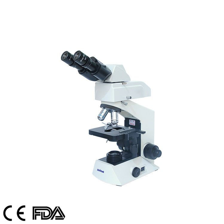 Infitek Fluorescence Microscope, MSC-F201(Siedentopf)