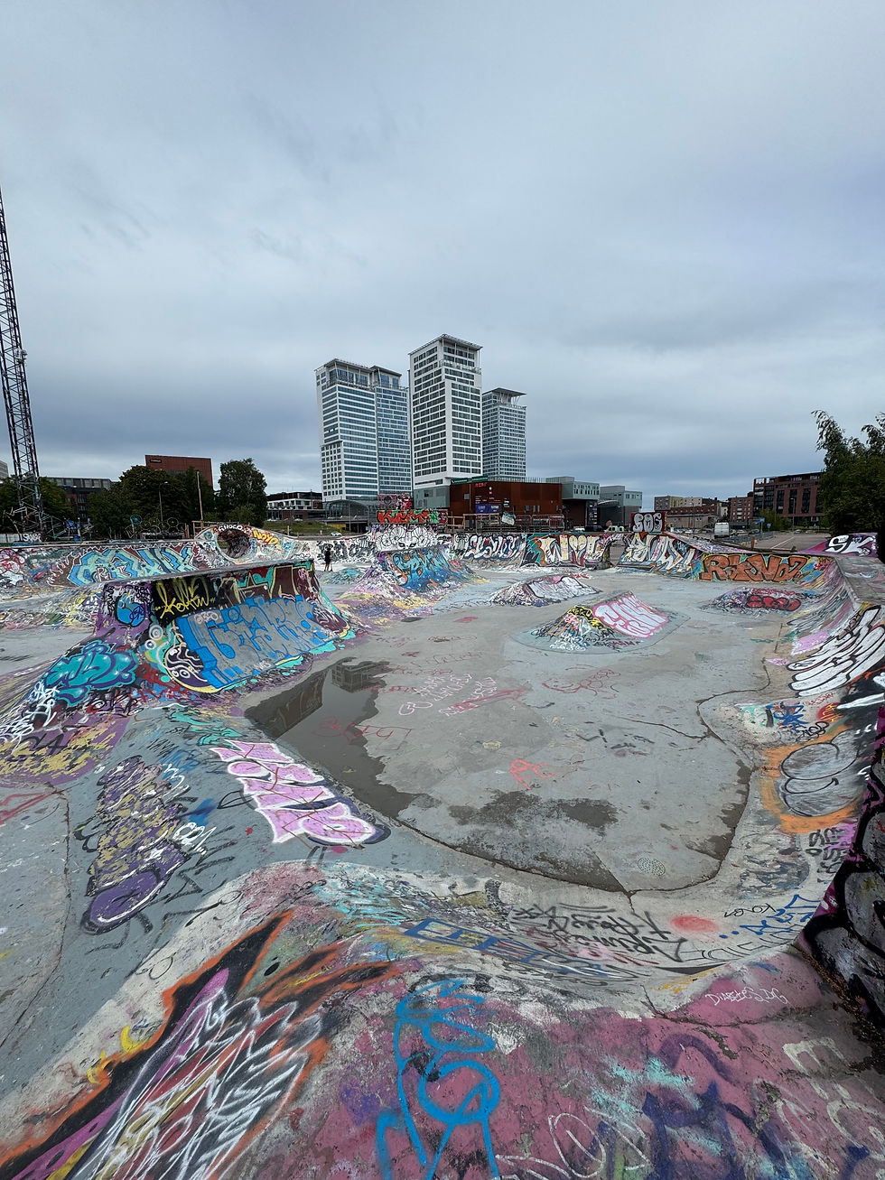 Surfskate Helsinki Meetup 2025